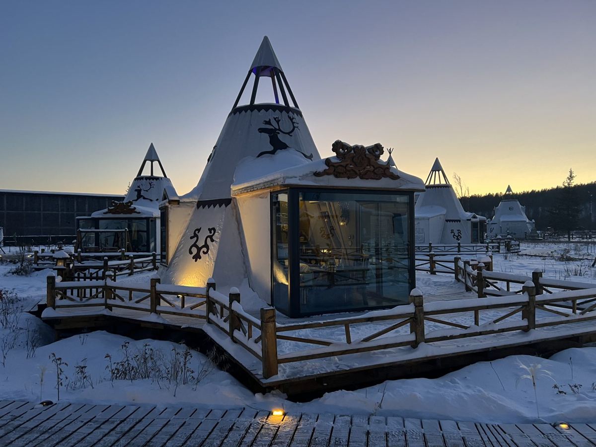 White yurts lit up at dusk in Aoluguya reindeer village
